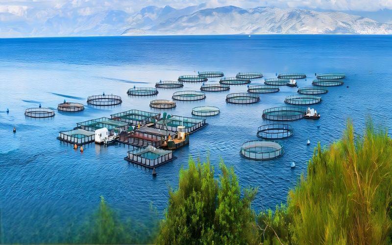 Aquaculture And Fish Culture Aquaculture And Fish Culture